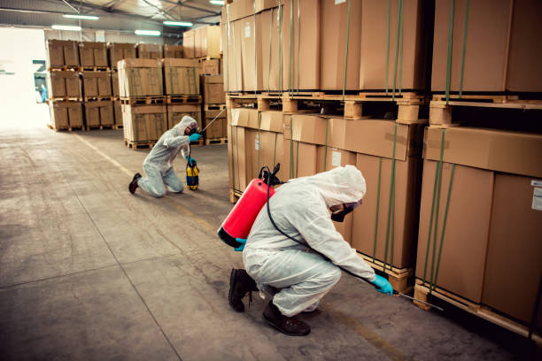 Best Pest Removal Services  in Soh Jordan, UT