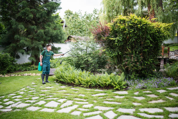 Best Wildlife Control Services  in Soh Jordan, UT