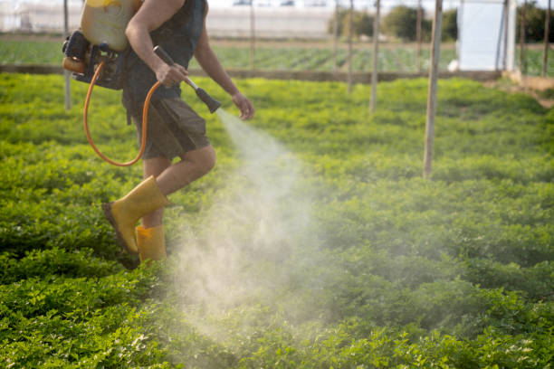 Best Exterminator Services  in Soh Jordan, UT