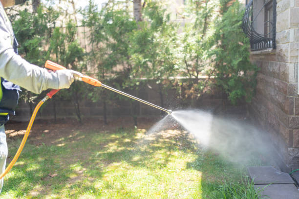 Best Mosquito Control Services  in Soh Jordan, UT