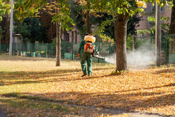 Best Pest Prevention Services  in Soh Jordan, UT