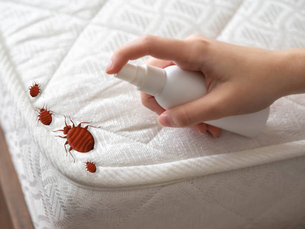 Best Pest Prevention Services  in Soh Jordan, UT